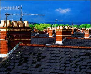 Roof-tops after a heavy shower on Malpas Road, Newport, as taken by Andrew Shipley, who now lives in Vietnam