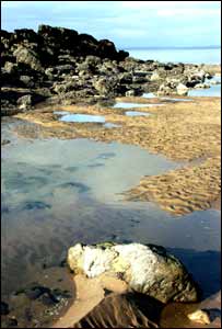 This shot of Llangennith beach was captured by Jo Turpin