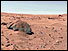 Mars as seen from the Viking lander (picture courtesy Nasa)