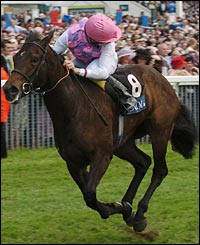 Jamie Spencer looks over his shoulder on La Chunga