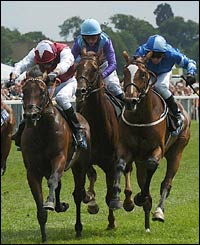 Plea Bargain (left) bumps into The Geezer (centre)