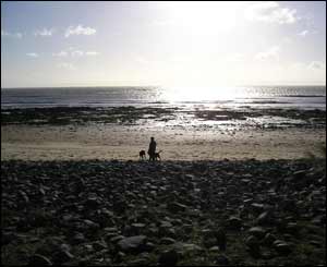 Nia Roberts from Porthcawl took this shot during a walk with dogs Cidu and Cai on Newton Beach, Porthcawl