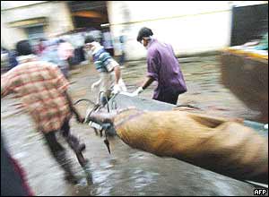 Volunteers carry a body to hospital at Nagapattinam in southern India