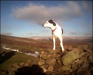 Magic on the Black Mountain Ridge above Llantony (Les Taylor from Abergavenny)