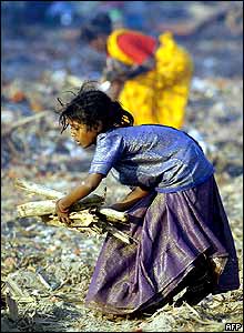 Girl forages for driftwood
