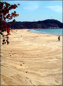 People walk on recently cleared beach in Phuket, Thailand