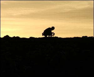 A lone climber at Mewslade on the Gower (Mark Kelleher, from Llanelli)
