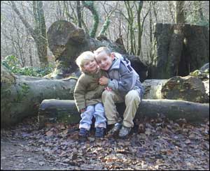 Paul Owen from Caerphilly sent in this photo of his two boys Thomas, six, and Oliver, three, in the Wenallt forest