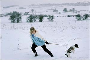 Lauren Ogilvie takes her three-month-old Jack Russell puppy Bobby for a walk
