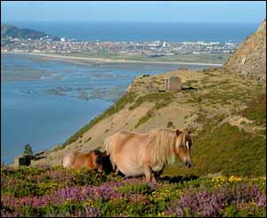 A picture that Natasha Plato, from Houston, took from Conwy Mountain looking towards Llandudno