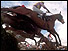 Steeplechase