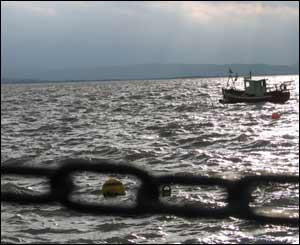 The Dovey estuary as seen from Aberdovey, sent by Lucy Rogers, from Rhiwbina, Cardiff.