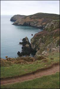 Andrew Newman in Cardiff took this picture on a visit to Treginnis farm near St Davids, west Wales