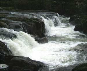 Cenarth Falls taken by Eileen Garkse from Cynghordy, Llandovery 