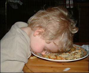 Llinos captured this shot of Gwion when he fell asleep after a tasty meal