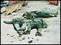 Bodies of Iranian soldiers