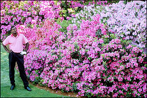 Vijay Singh and azaleas