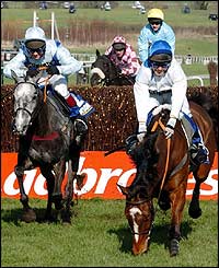 Runner-up Lacdoudal (L) and King Harald (R)