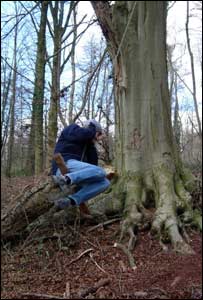 Darran from Cardiff captured this picture of his girlfriend in mid flight on a swing in the wood around Castell Coch
