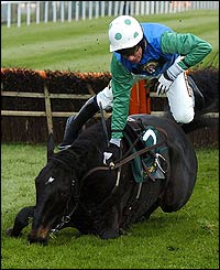 Jockey Timmy Murphy falls on Korelo