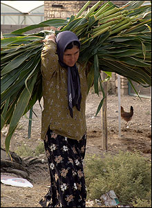 Woman carries foraged food for animals in village