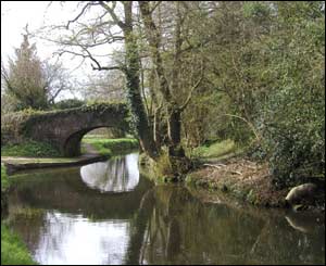 The Monmouth & Brecon Canal near Goytre Wharf, near Abergavenny (Nick Morgan, Caerleon)