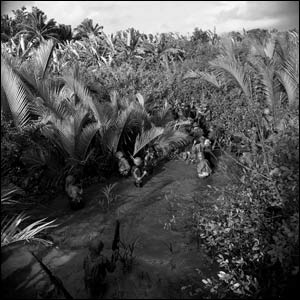 Troops in the Mekong Delta
