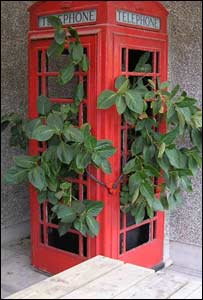 Ian Gardiner of Bridgend wondered if this box at Broadhaven Caravan Park in Pembrokeshire was for 