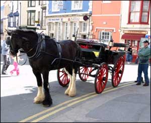 Alan Caswell from Swansea spotted this horse and cart while on a day trip to Tenby