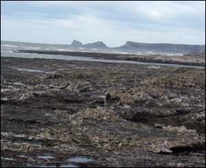 A view of Worms Head taken from Paviland, Gower by Alannah Ruthen 