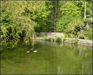 David Howell sent in this shot of the duckpond at Fonmon in the Vale of Glamorgan