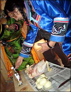 The sacrificial cockerel