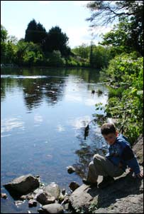 Dave Field sent this shot in from a walk along the river Taff with his son Ben.