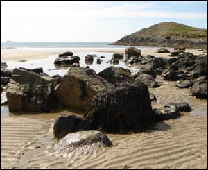Cheryl Hughes from Cardiff took this picture on Whitesands Beach, St Davids, Pembrokeshire