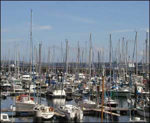 The multitude of boats that live in Milford Haven marina, sent by Nick Morgan (Caerleon)