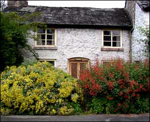 A picturesque cottage in Llanrhaeadr-ym-Mochnant, taken by Royston Jones