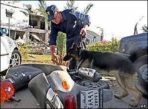 Police sniffer dog investigates motorcycle