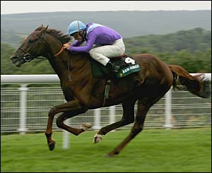 Geezer and Richard Quinn win a race at Goodwood
