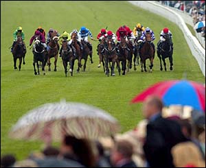 The horses pound down the home straight in the Betfair Molecomb Stakes
