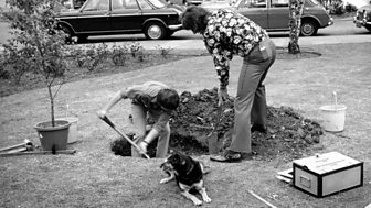 The 1971 Blue Peter time capsule