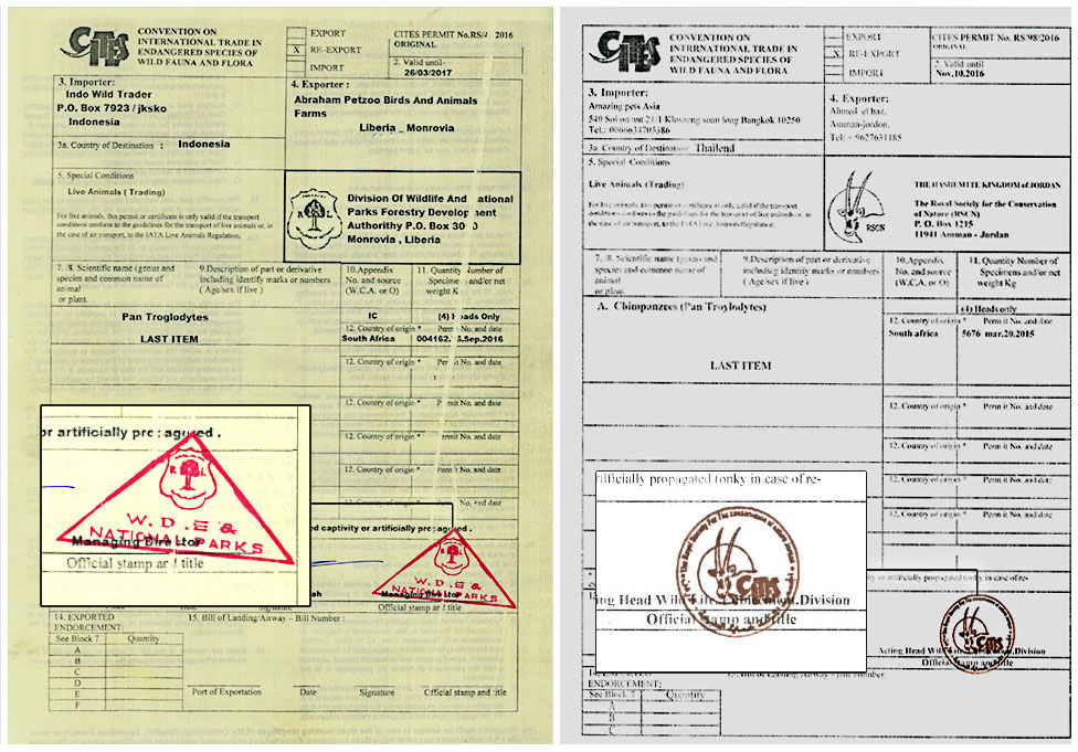 Cites permits obtained by the BBC
