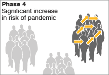 Virus transmission to humans