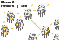 Virus transmission to humans