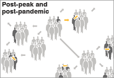 Virus transmission to humans