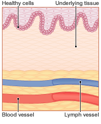 Sources of stem cells