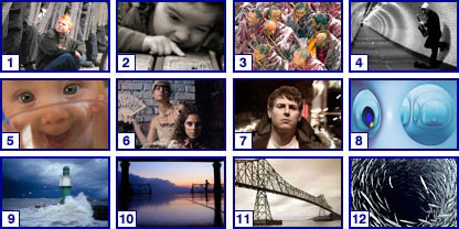 Photographer of the year:Final Vote