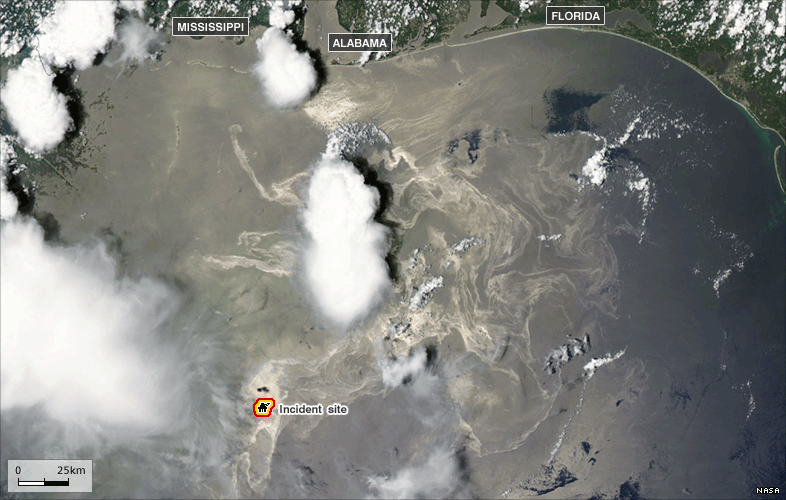 image showing Mississippi, Alabama, Florida and the site of the oil spill