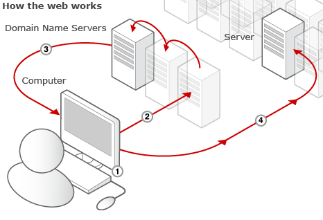 To connect to the internet you need a computer, a modem and a connection to the phone or cable network.