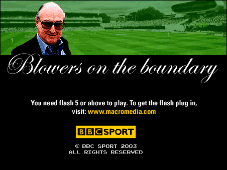 You need Flash Player 5 or above.