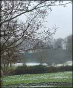 Hedges on the lower slopes of Meon Hill